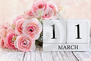 March 11th Calendar Blocks with Pink Ranunculus photo