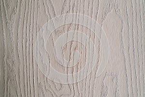 White wood door close-up texture background