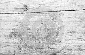 White wood panel texture background