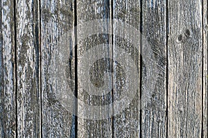 Old gray wooden boards texture