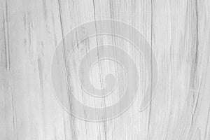 White wood texture background blank for design.