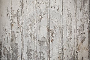 White wood texture background with natural patterns