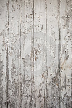 White wood texture background with natural patterns