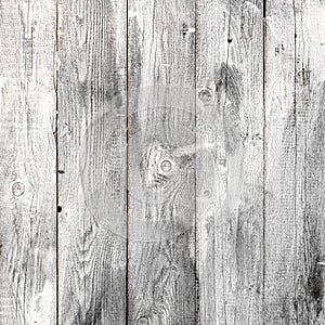 White wood texture backgrounds