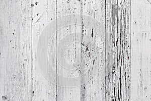 The white wood texture with natural patterns background