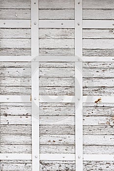 The white wood texture with natural patterns background