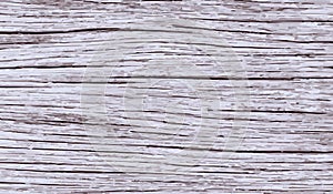 White wood texture vector background