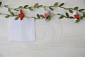 White wooden background with green leaves
