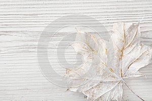White Wooden Background, Winter Maple Leaf Decoration, Colored Wood Plank Texture