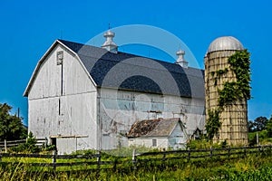 White Wooden Barn with Silo with Ivy Growing Up