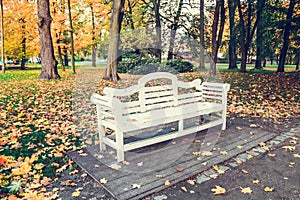 White wooden bench in the park in Autumn