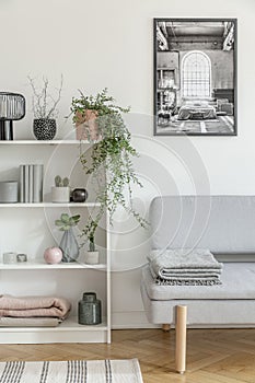 White wooden bookshelf with grey plant, books and vases next to grey sofa with blanket