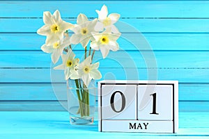 White wooden calendar with the text: May 1. White flowers of daffodils on a blue wooden table. Labor Day and Spring.