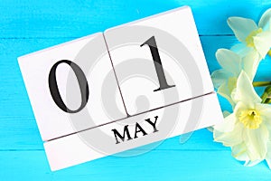 White wooden calendar with the text: May 1. White flowers of daffodils on a blue wooden table. Labor Day and Spring.