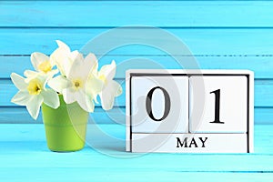 White wooden calendar with the text: May 1. White flowers of daffodils on a blue wooden table. Labor Day and Spring.