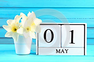 White wooden calendar with the text: May 1. White flowers of daffodils on a blue wooden table. Labor Day and Spring.