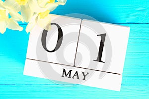 White wooden calendar with the text: May 1. White flowers of daffodils on a blue wooden table. Labor Day and Spring.