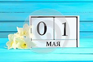 White wooden calendar with the text on russian: May 1. White flowers of daffodils on a blue wooden table. Labor Day and Spring.