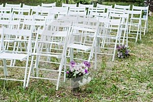 White wooden chairs placed in rows on a lawn. Place for wedding ceremony or other events in botanic garden.