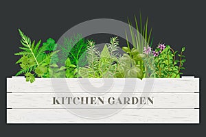 White wooden crate of farm fresh cooking herbs with labels in wooden box. Greenery basil, rosemary, chives, thyme, oregano with te