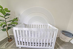 White wooden crib with white mattress in a white carpeted room