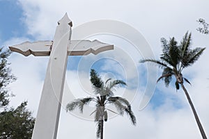 White wooden cross against the sky and palms in San Diego California Park