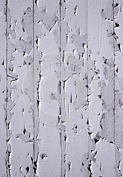 White wooden door texture