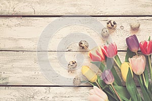 White wooden Easter background with tulips and eggs, Toned