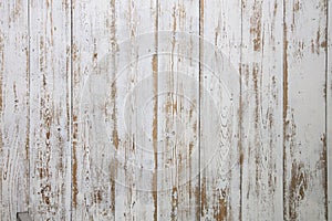 White wooden floorboards. Distressed worn floorboard background painted white