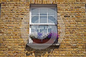 White wooden frame sash window with colorful flowers on a brick wall building facade