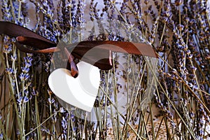 White wooden heart with brown silk bow on dry lavender flowers on white background.