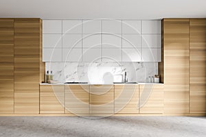 White and wooden kitchen with cupboards