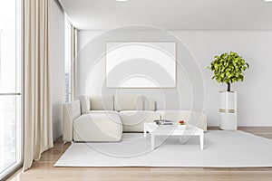 White and wooden living room with corner sofa on carpet and plant near window