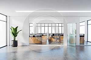 White and wooden office with cubicles