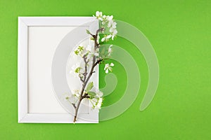 white wooden photo frame and branch with leaves on isolated green background