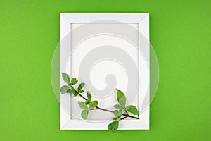 white wooden photo frame and branch with leaves on isolated green background