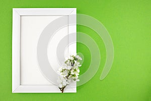 white wooden photo frame and branch with leaves on isolated green background
