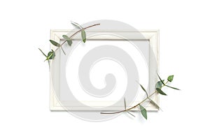 White wooden photo frame and green eucalyptus leaves on white background. Flat lay top view copy space. Stylish minimal