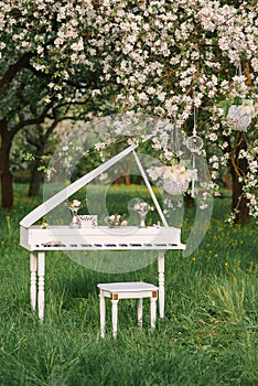 White wooden piano with stool and romantic decor surrounded by blooming Apple trees in the spring garden