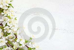 White wooden shabby background with flowering cherry branches