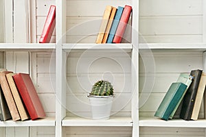 White wooden shelves with old books. Wooden bookcase.