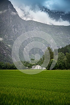 White wooden traditional house in Norway at the foot of the mountain and green lawn, beautiful Scandinavian landscape