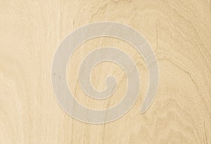 White wooden wall texture background. wood all antique cracking