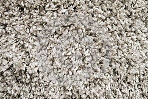 White wool carpet close-up. Soft loop pile surface