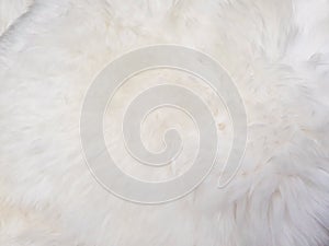 White wool texture background. Faux fur. Texture of white fluffy fur, close up of a long wool carpet. Top view