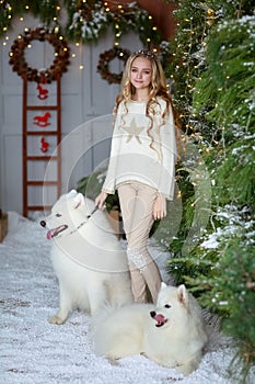 White woolly purebred dogs and a blonde girl surrounded by green New Year trees and on artificial snow in a photo studio