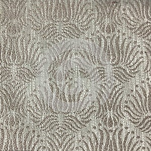 White Woven Polyester Pattern Texture