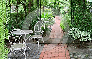 White wrought iron table and chairs in tropical garden with bricks paved walkway