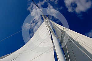 White yacht sail