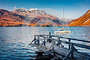 White yacht on the Sils lake. Orange larch trees forest in Swiss Alps.